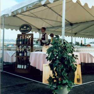 Party tent, 4x6 metres